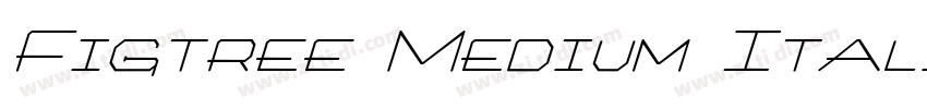 Figtree Medium Itali字体转换